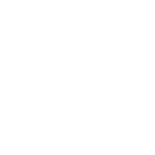 2-Smartphone